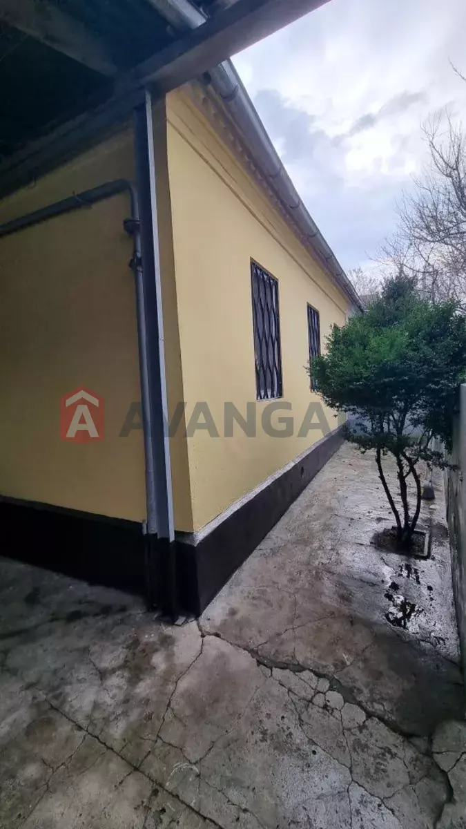 ������� �������, 75 ��.�. ���� 3