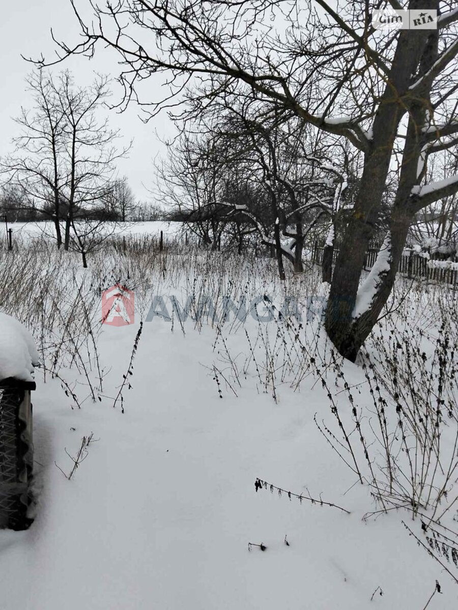 �������, 40 ��.�. ���� 11