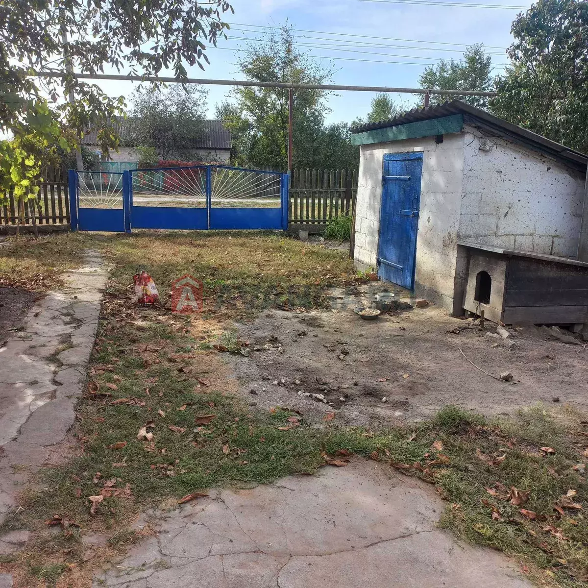 �������, 58 ��.�. ���� 6