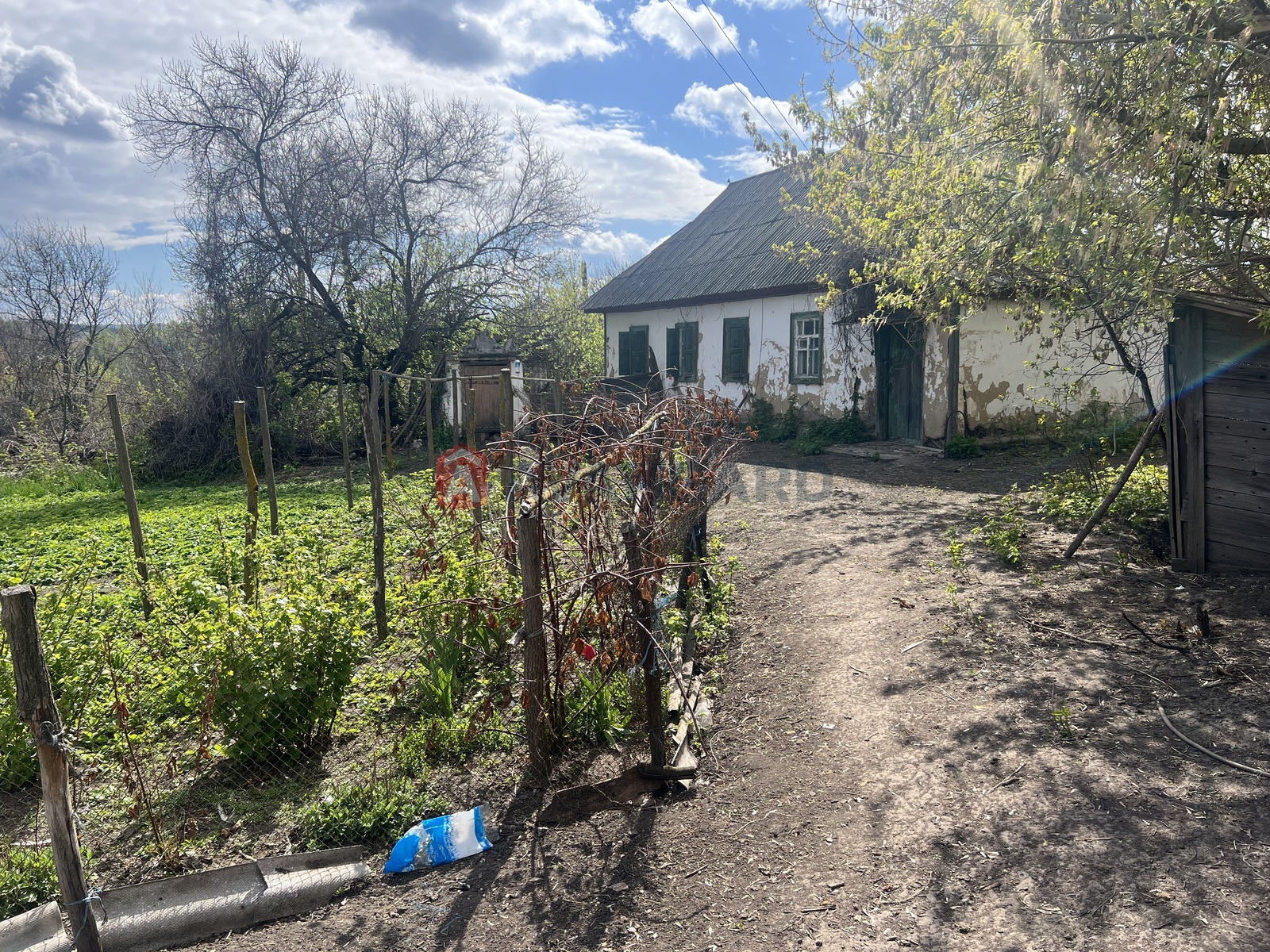 �������, 50 ��.�. ���� 1