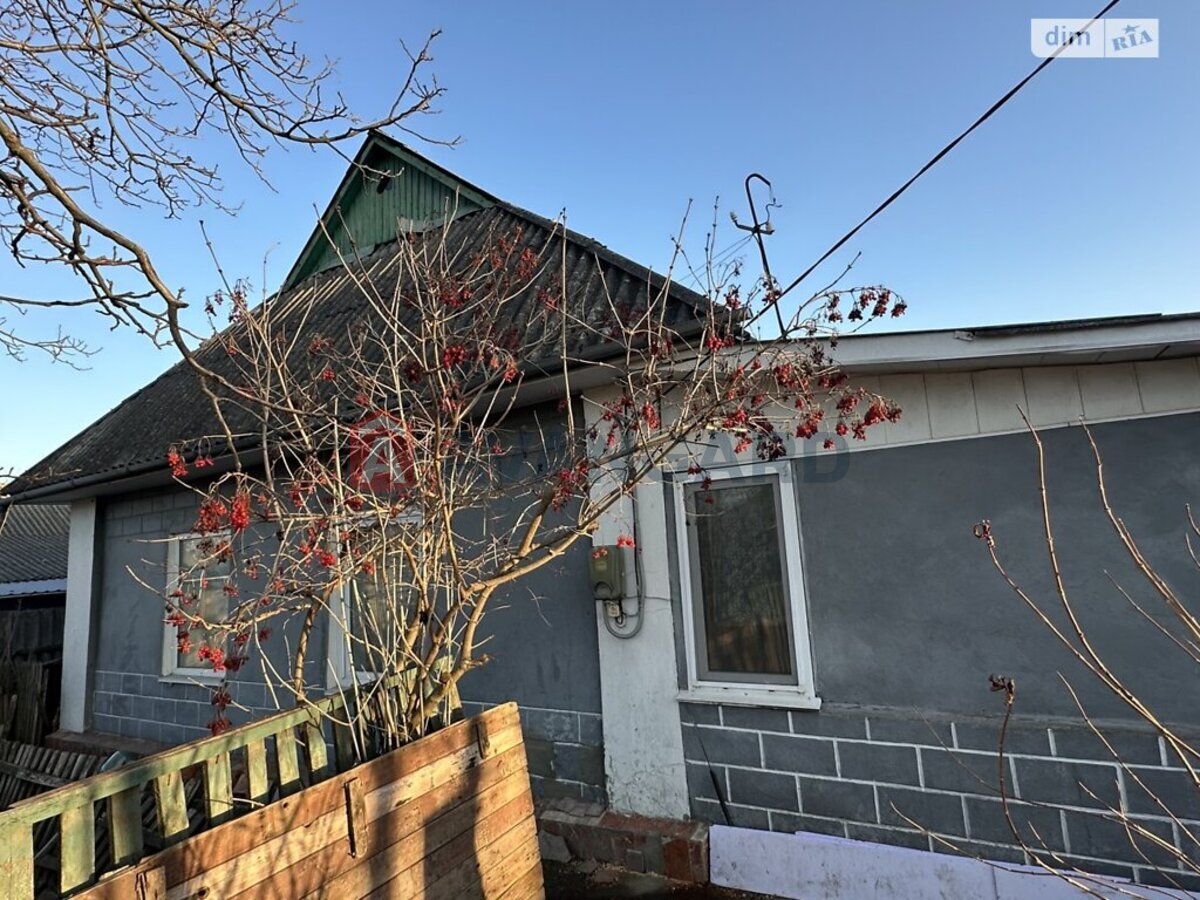 �������, 71 ��.�. ���� 1