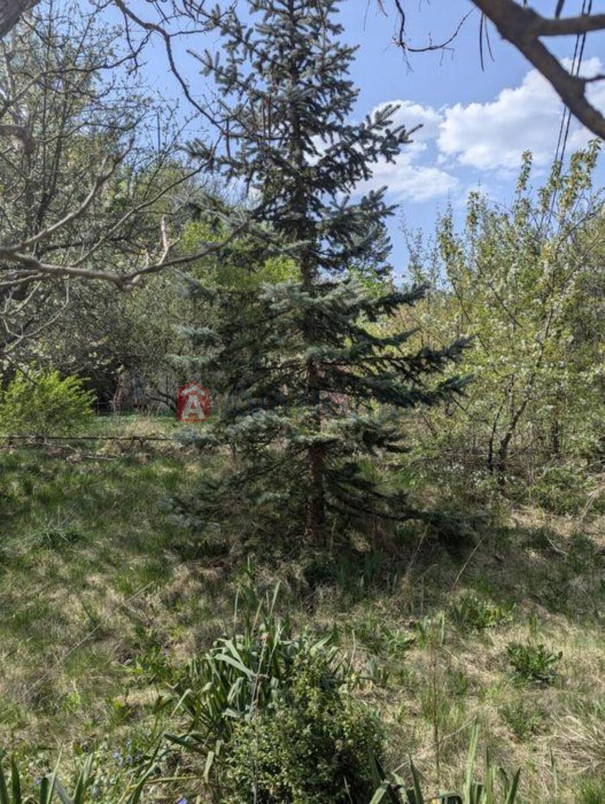 �������, 86 ��.�. ���� 8