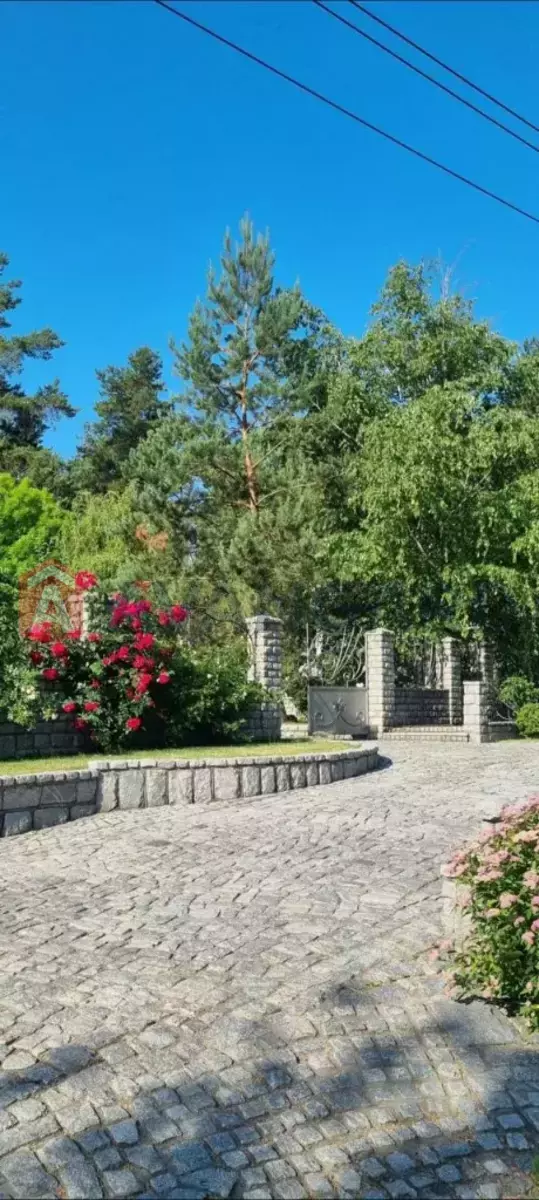 �������, 217 ��.�. ���� 6