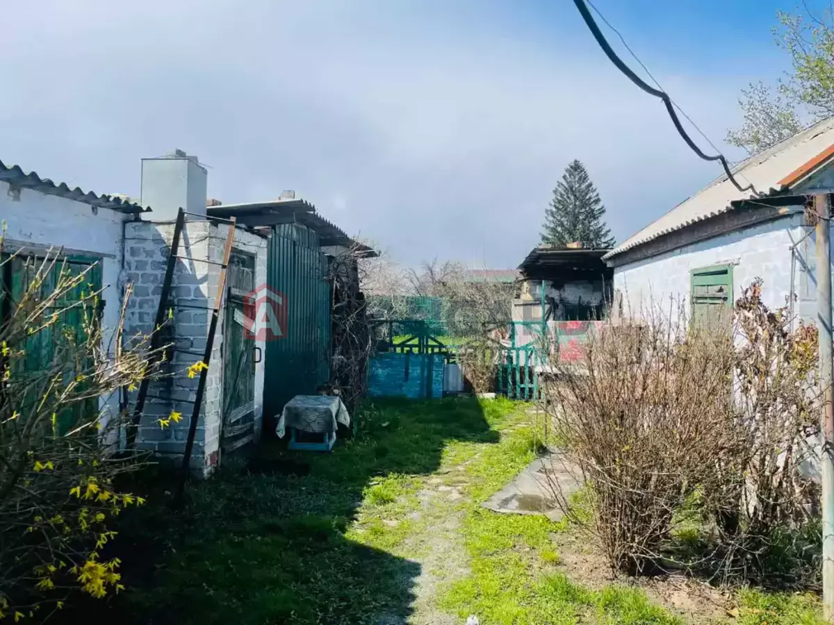 �������, 50 ��.�. ���� 4