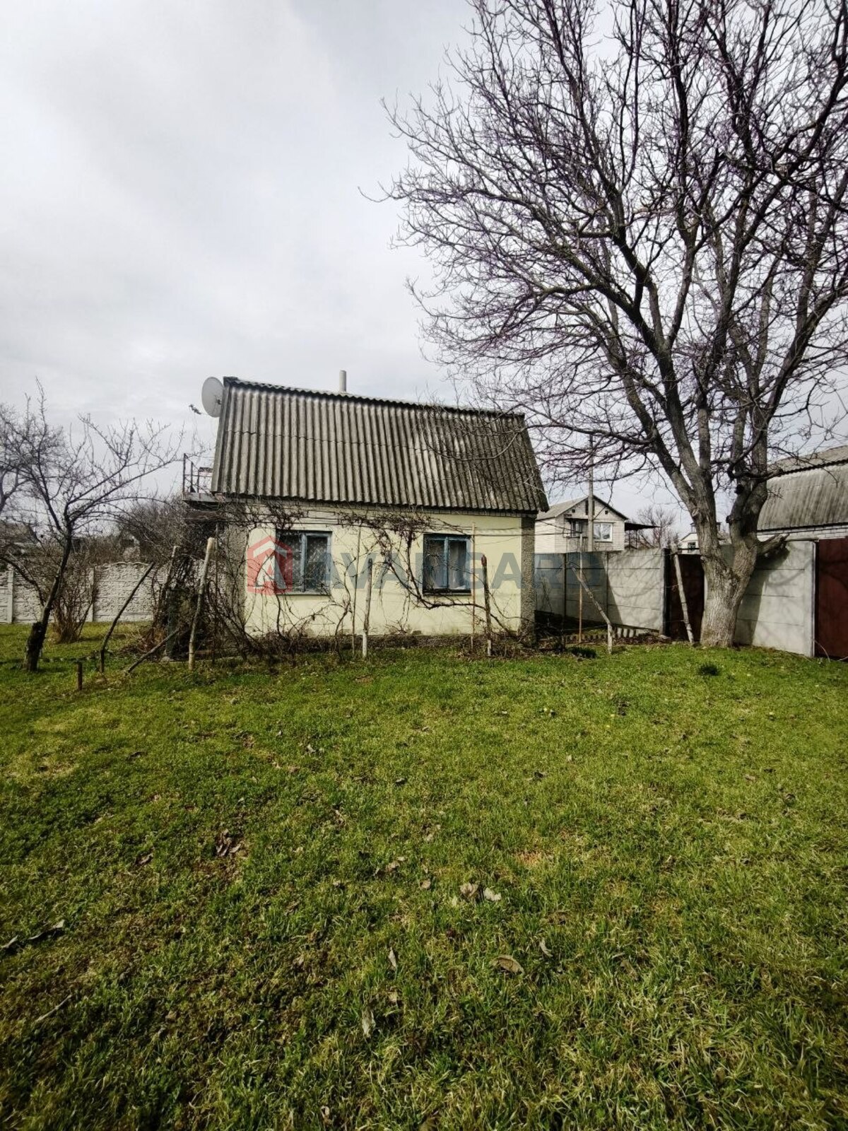 �������, 75 ��.�. ���� 2