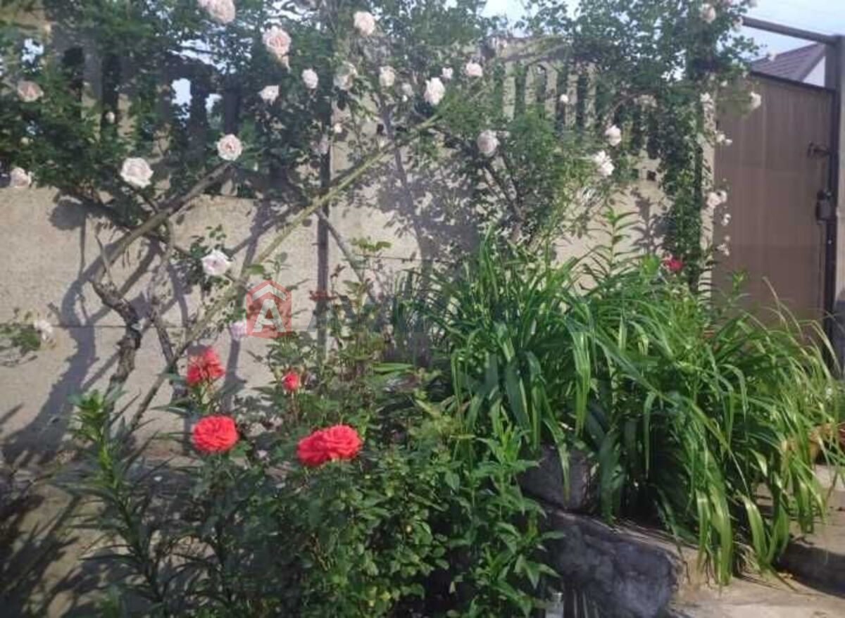 ������� �������, 38 ��.�. ���� 19