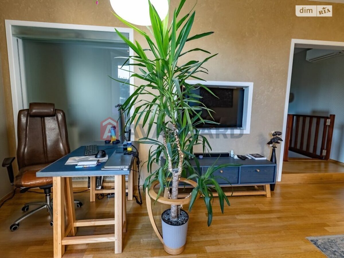 �������, 97 ��.�. ���� 5