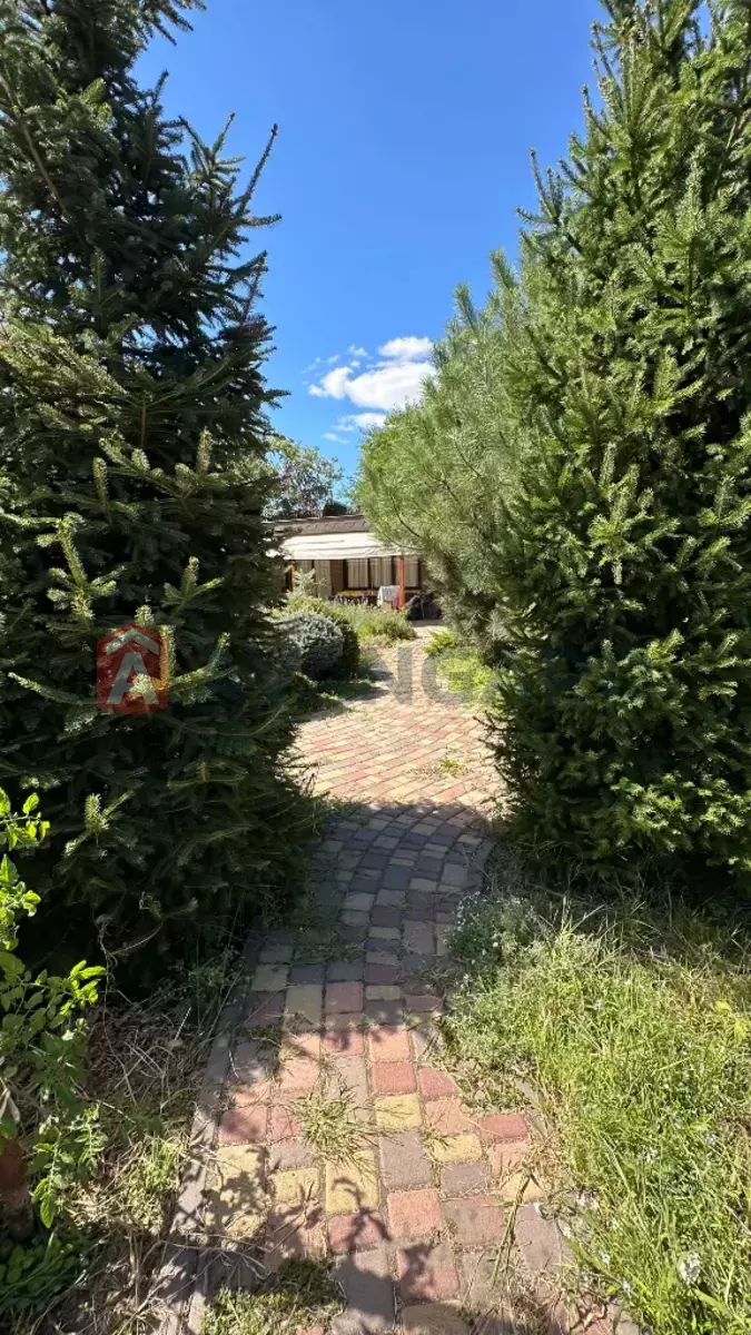 ����, 100 ��.�. ���� 11