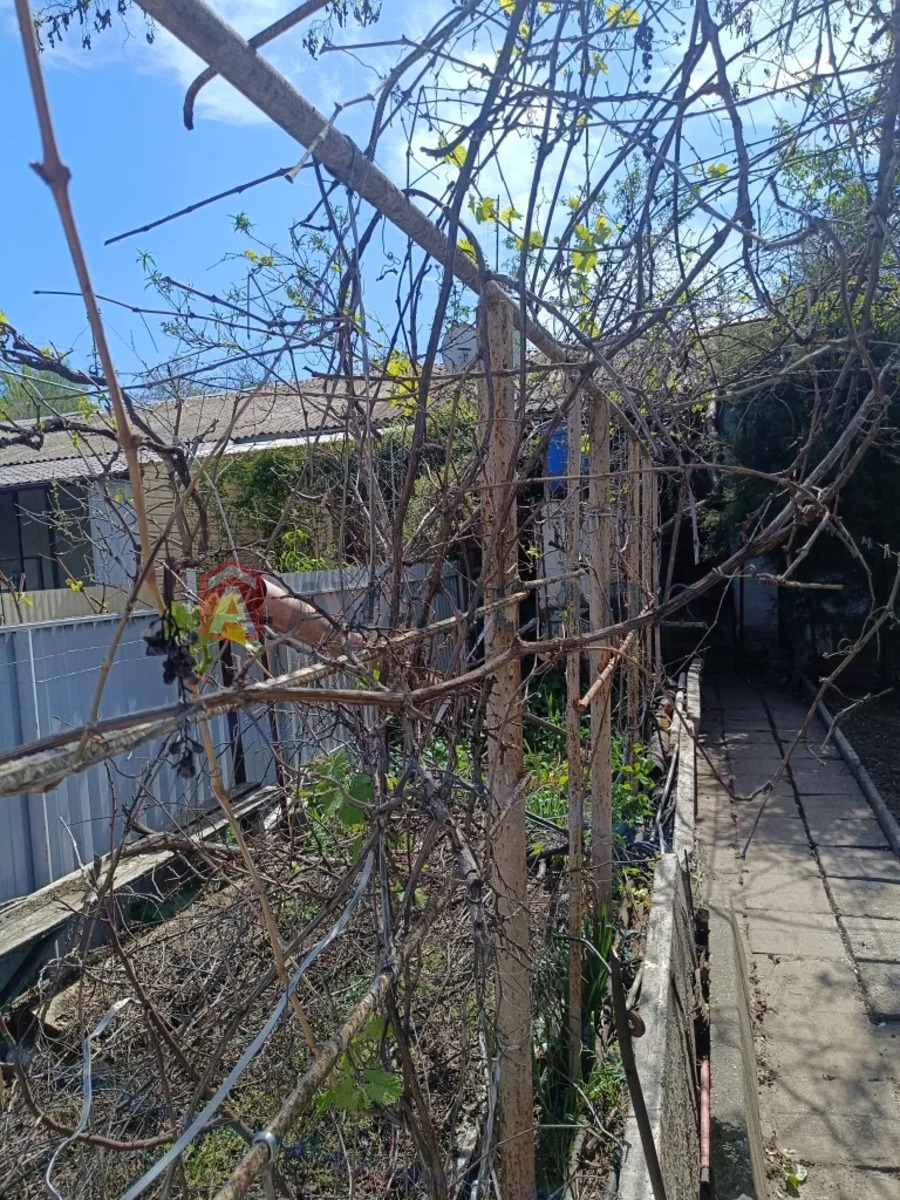 ������� �������, 42 ��.�. ���� 6