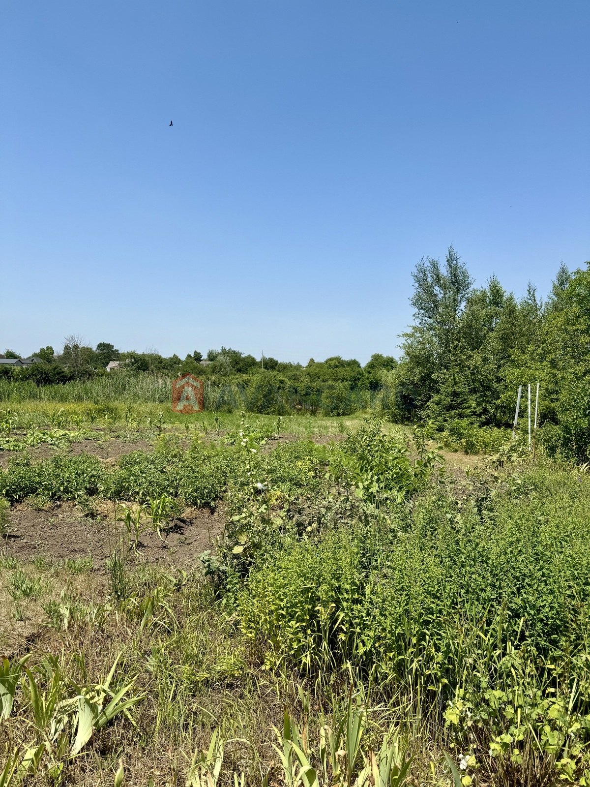 ���, 191 ��.�. ���� 13