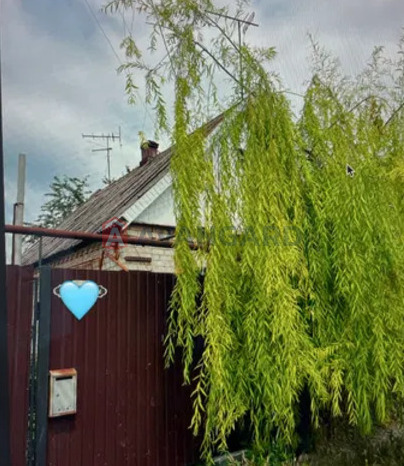 �������, 51 ��.�. ���� 3