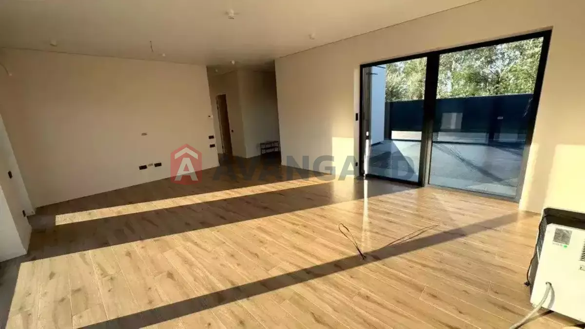 �������, 105 ��.�. ���� 24