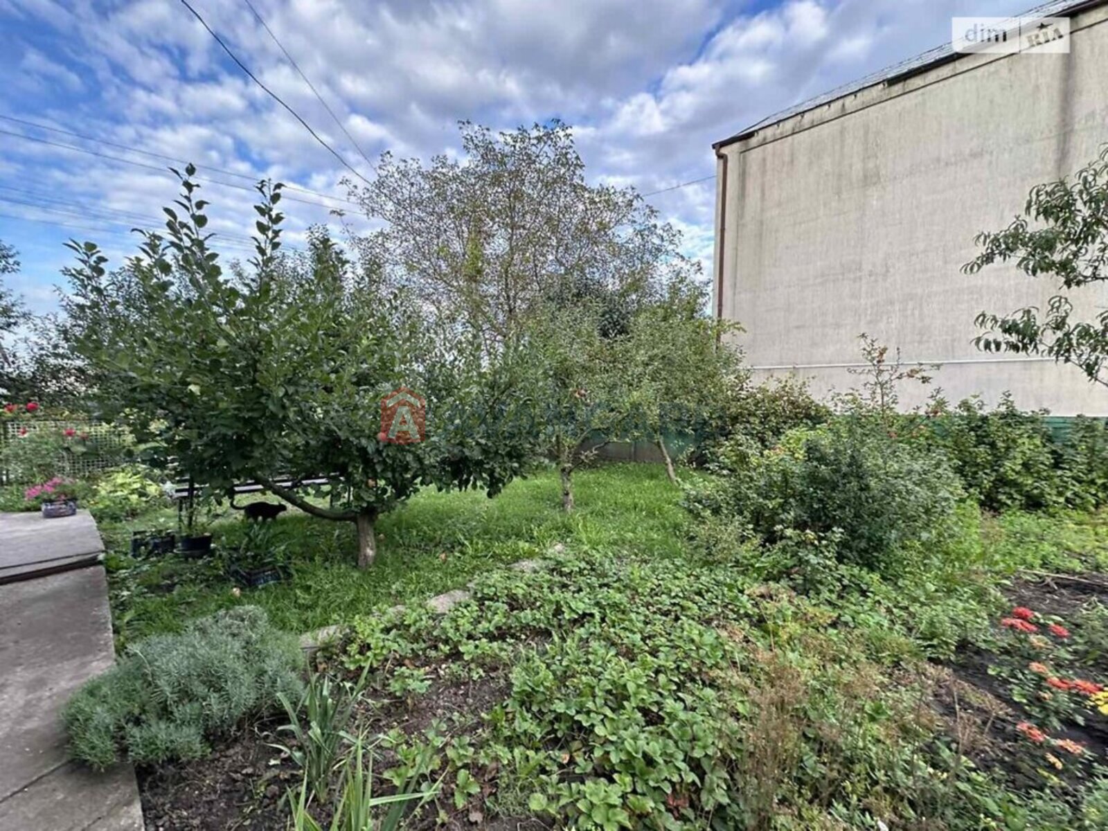 �������, 295 ��.�. ���� 6