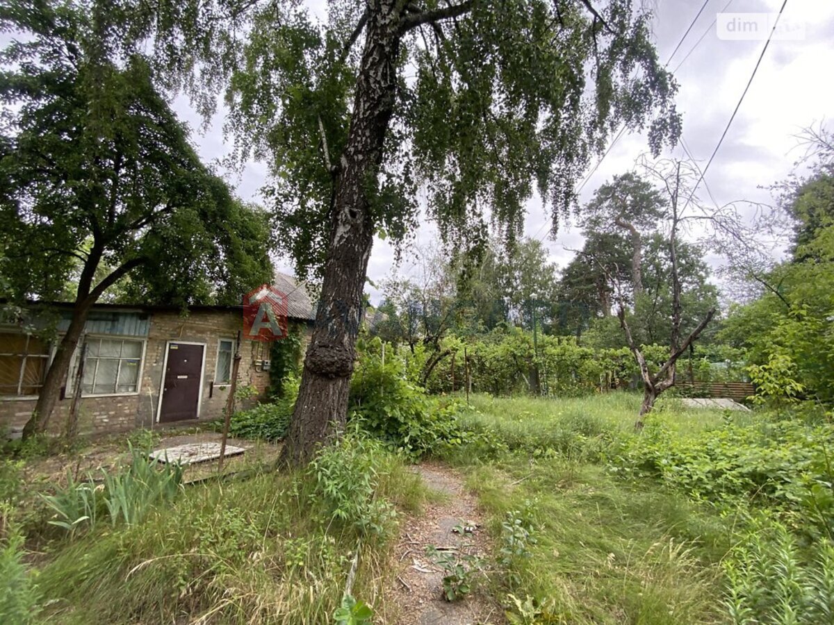 �������, 61 ��.�. ���� 3