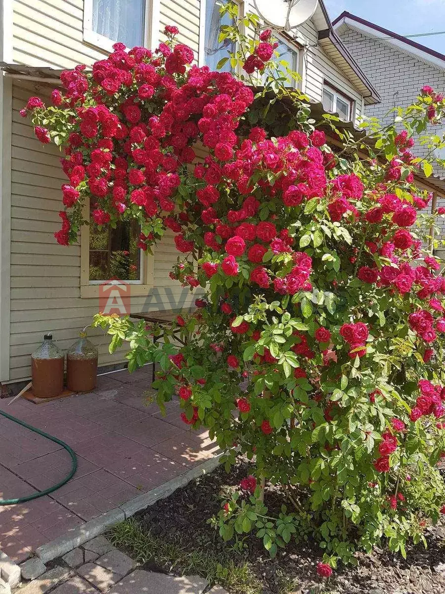 ����, 80 ��.�. ���� 17