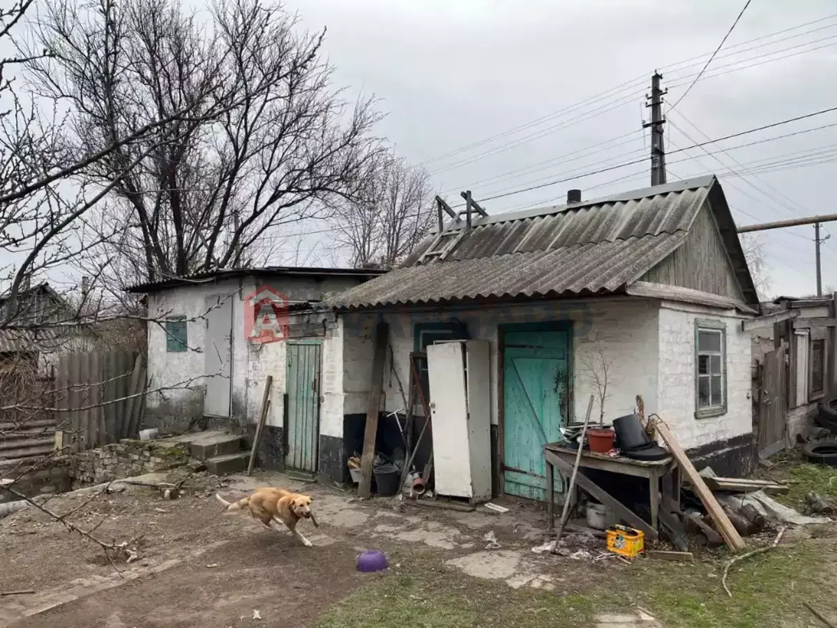 �������, 60 ��.�. ���� 14