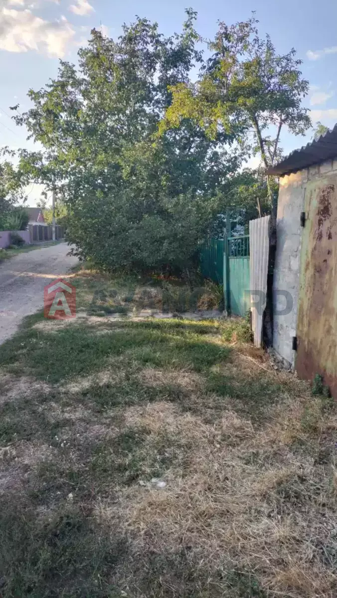 �������, 55 ��.�. ���� 3