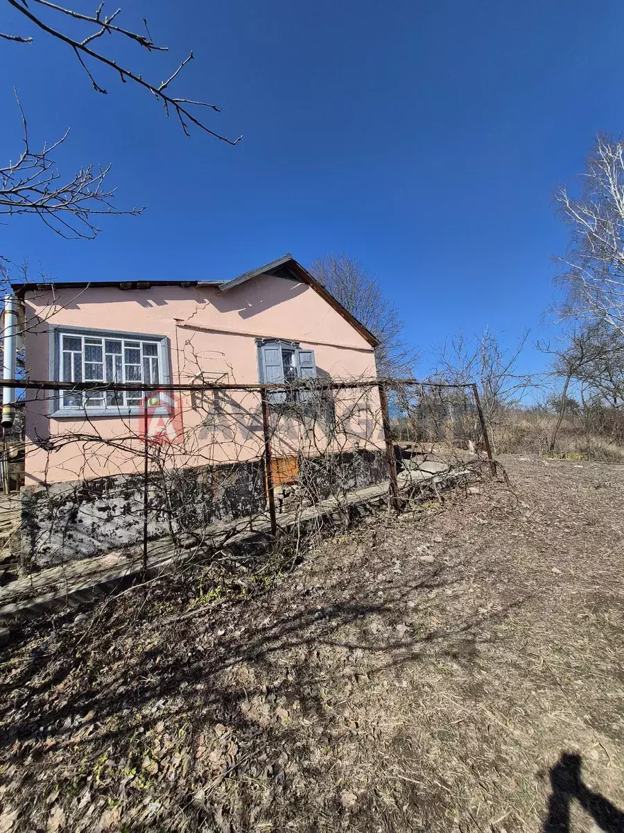 ����, 40 ��.�. ���� 3