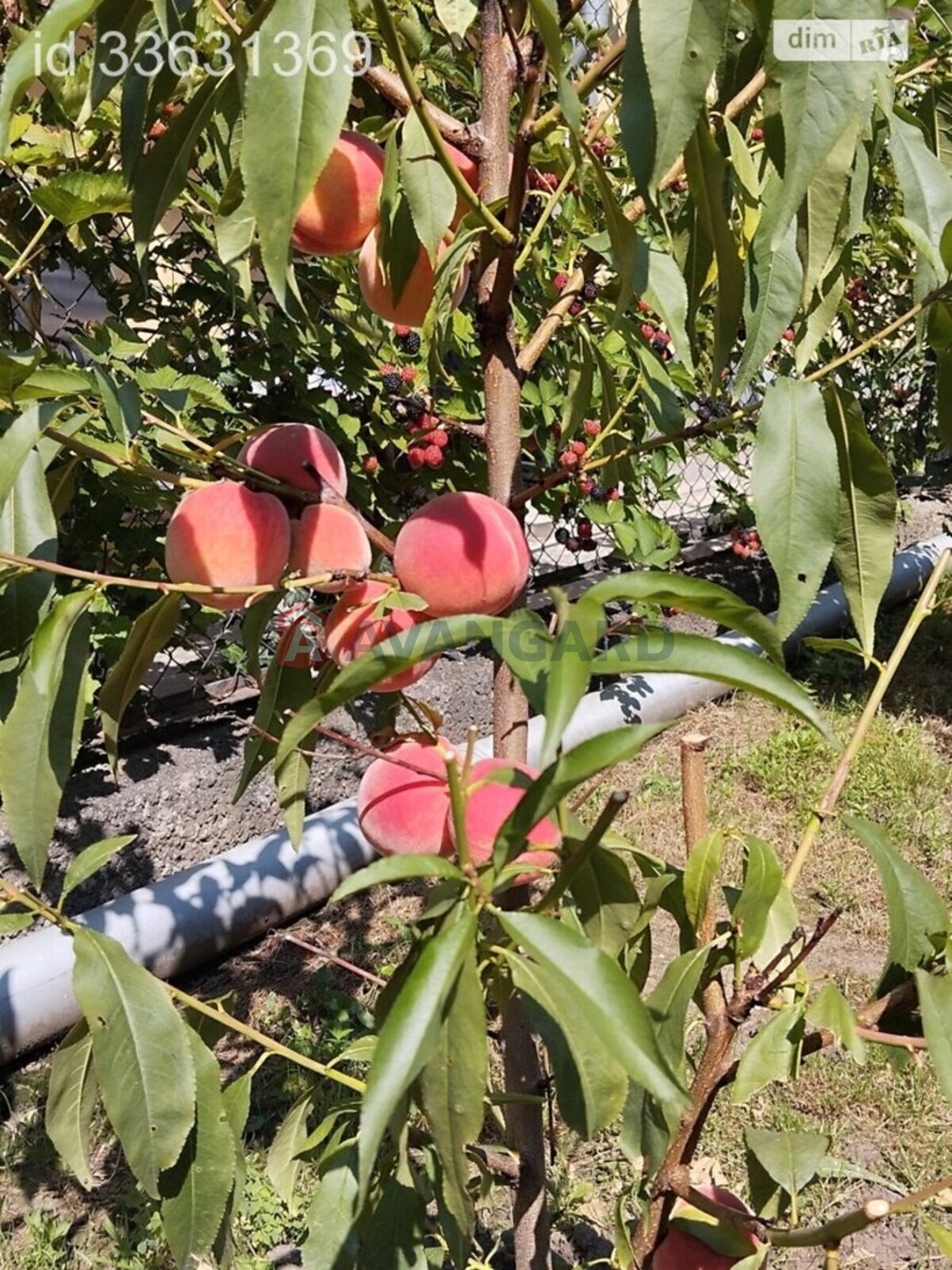 Будинок, 179 кв.м. фото 12 Будинок, 179 кв.м. фото 12