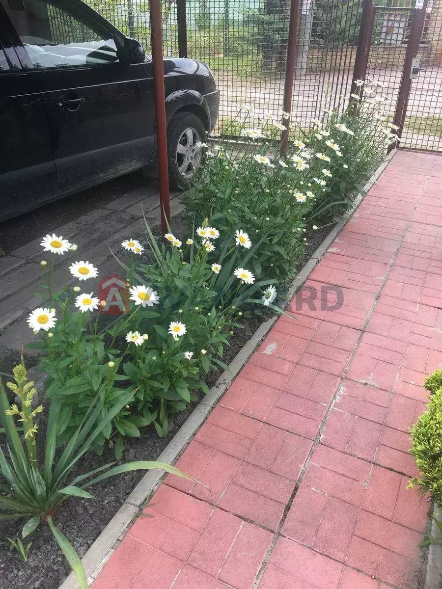 ����, 80 ��.�. ���� 6