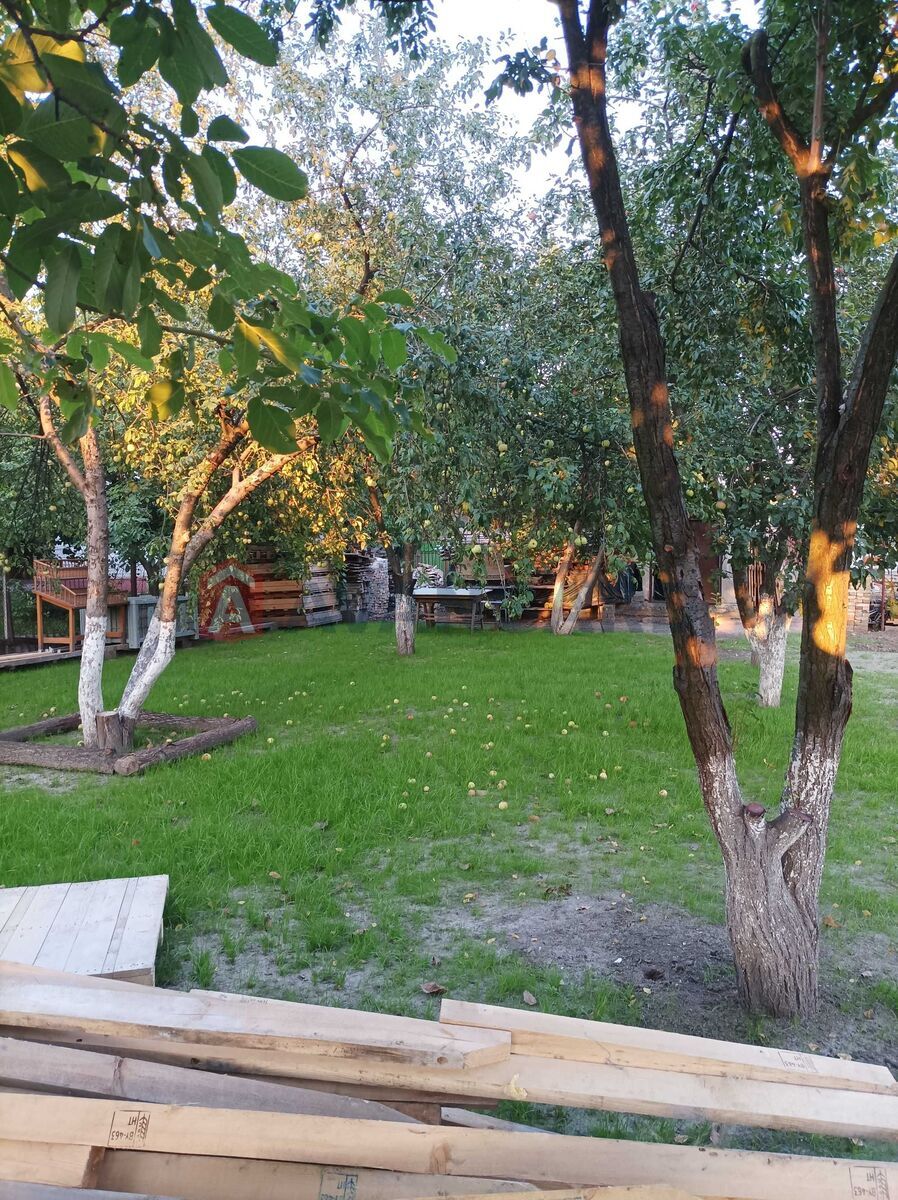 ����, 60 ��.�. ���� 1