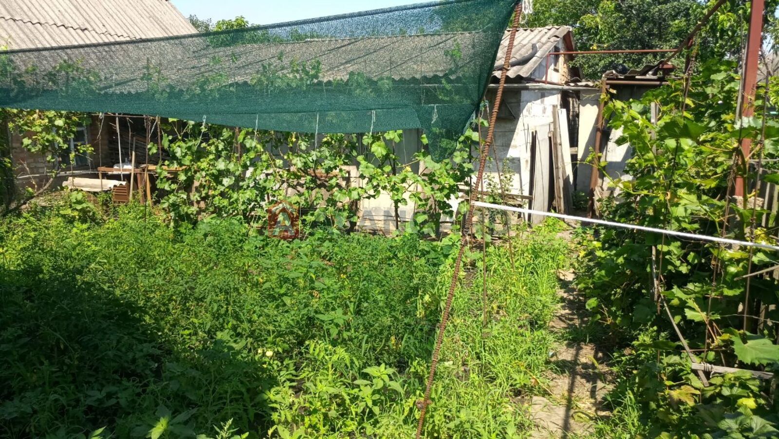 ������� �������, 51 ��.�. ���� 13