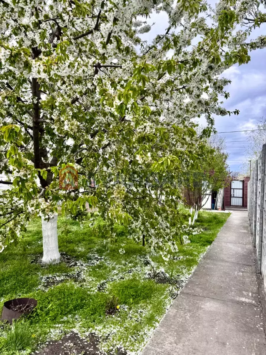 �������, 55 ��.�. ���� 6