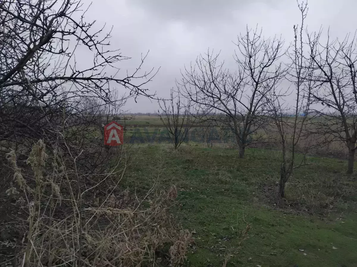 �������, 80 ��.�. ���� 4