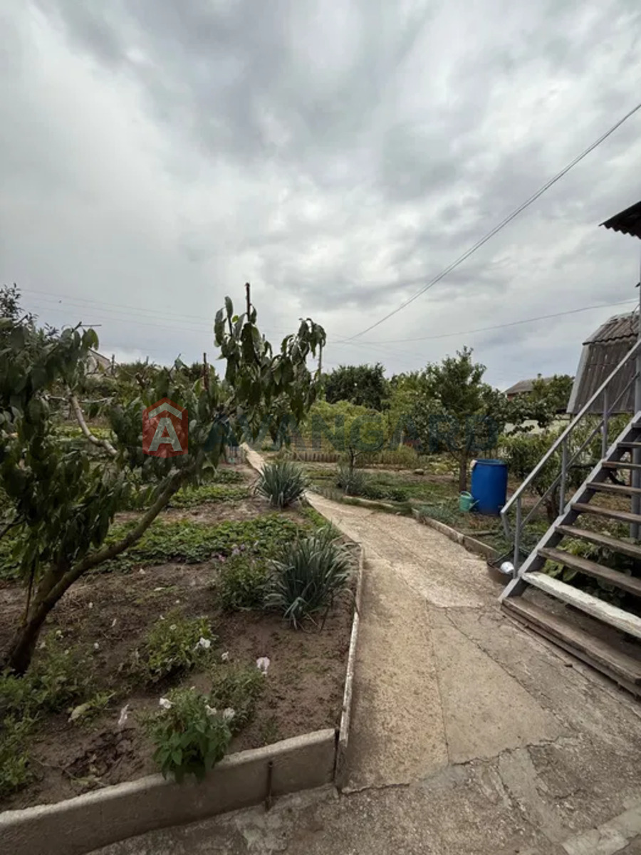 �������, 80 ��.�. ���� 4