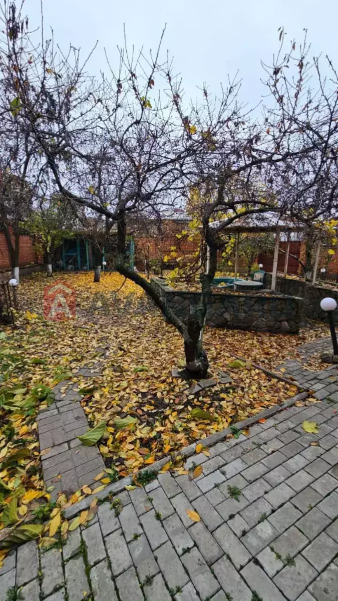 �������, 520 ��.�. ���� 13