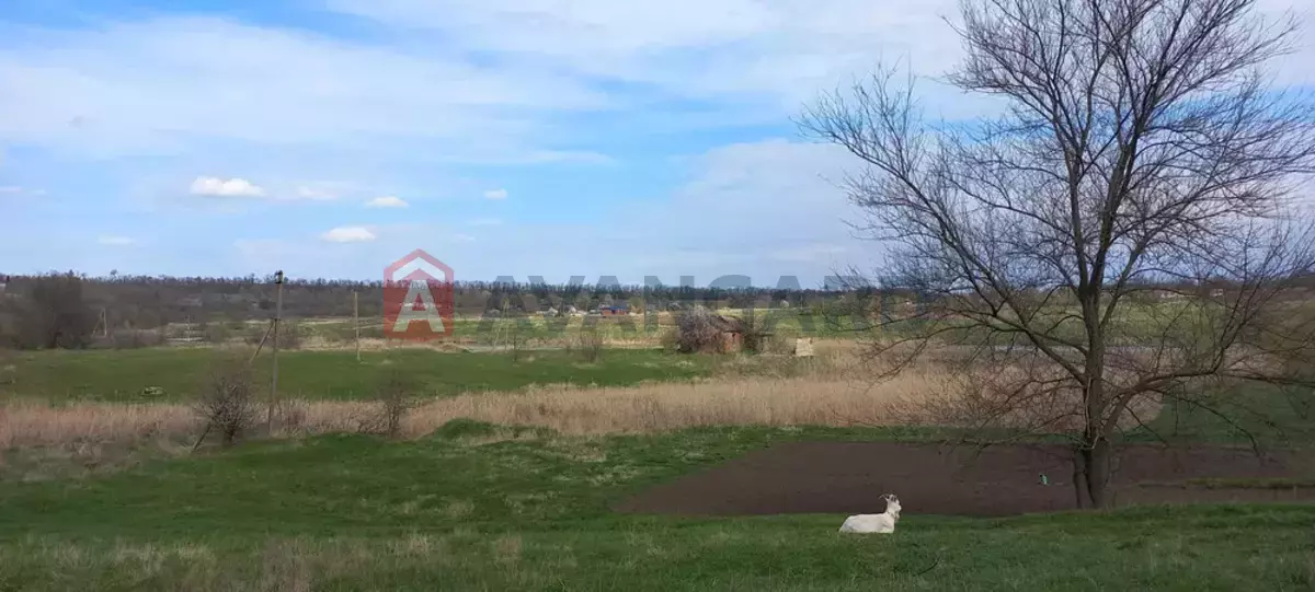 �������, 67 ��.�. ���� 13