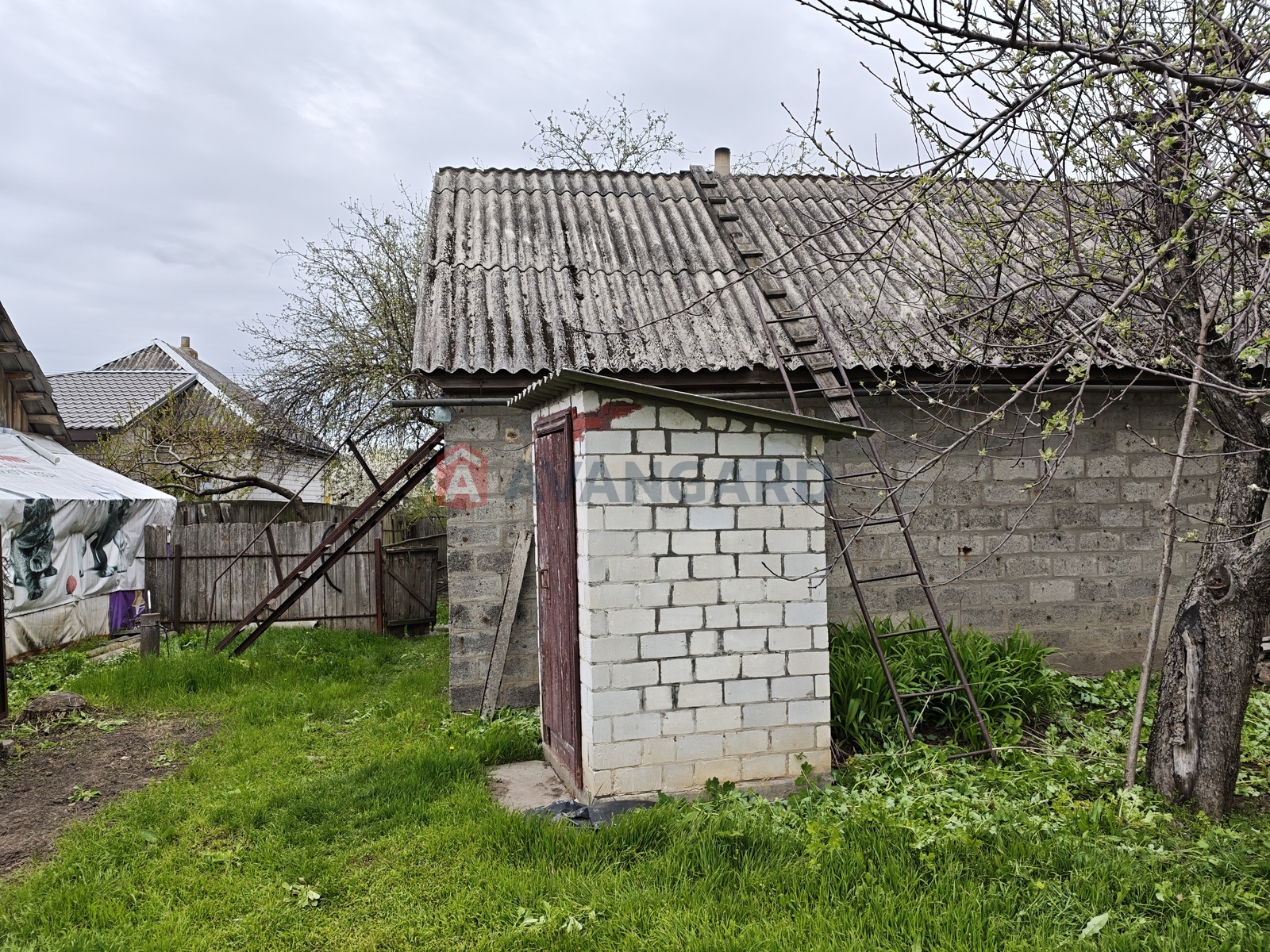 �������, 98 ��.�. ���� 10