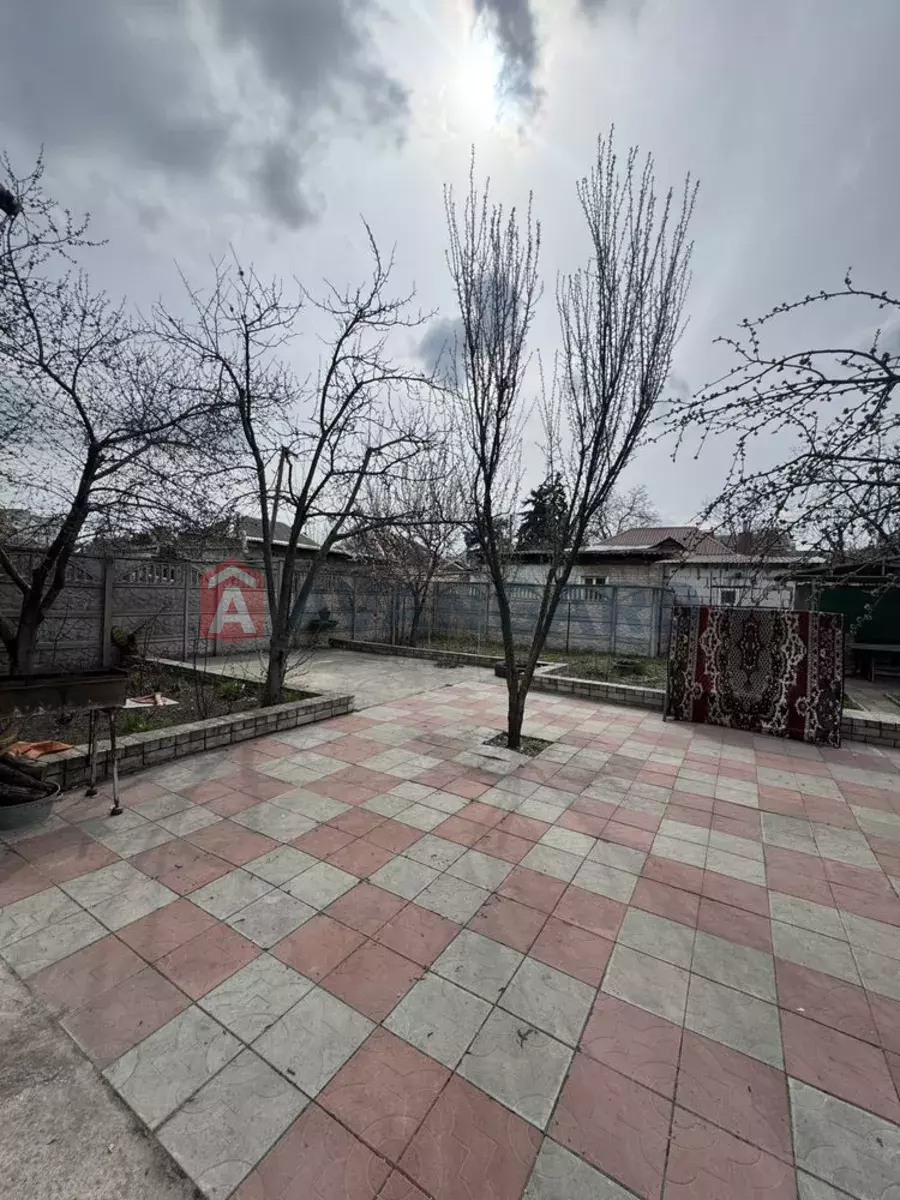 �������, 53 ��.�. ���� 20