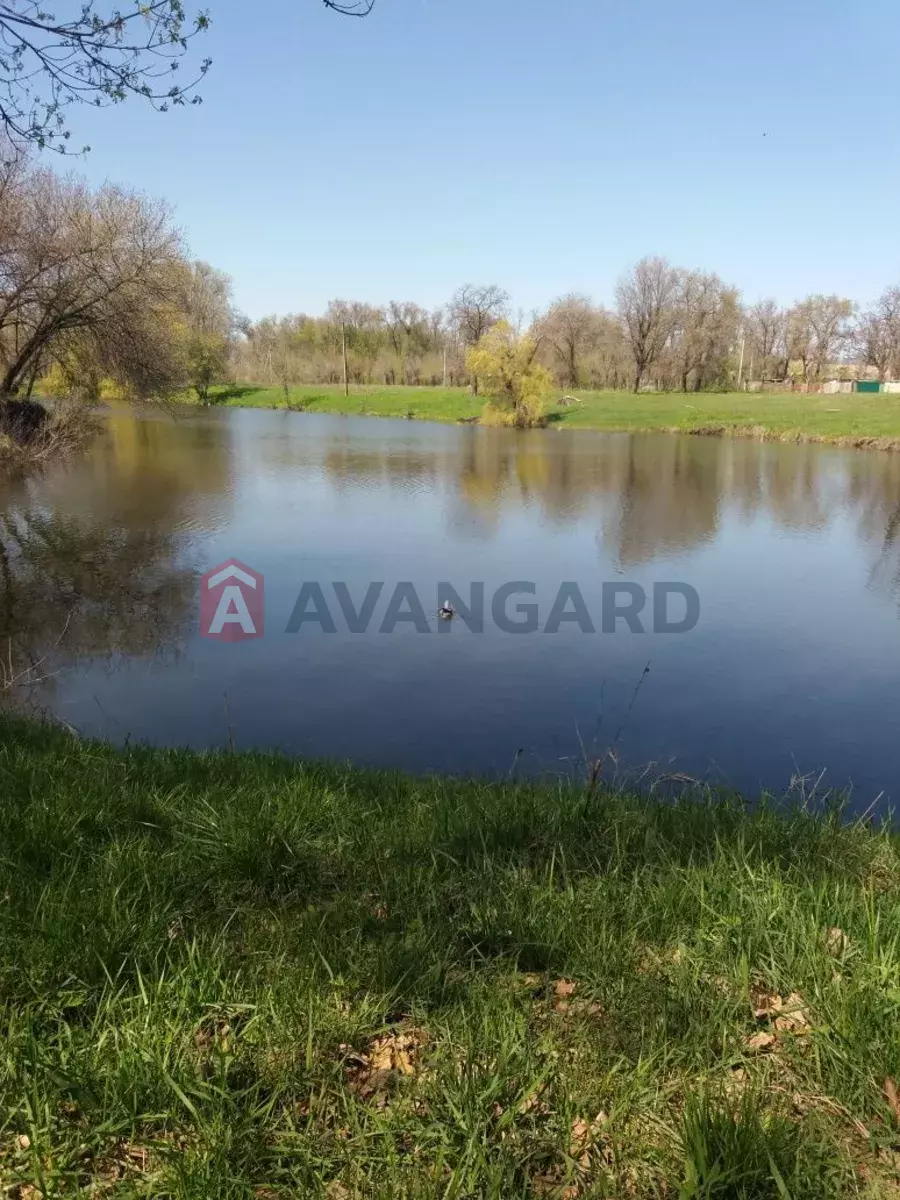 �������, 40 ��.�. ���� 5