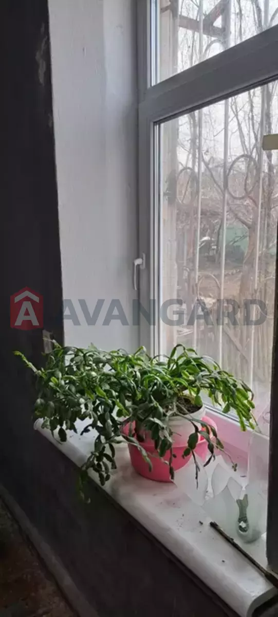 ������� �������, 31 ��.�. ���� 3