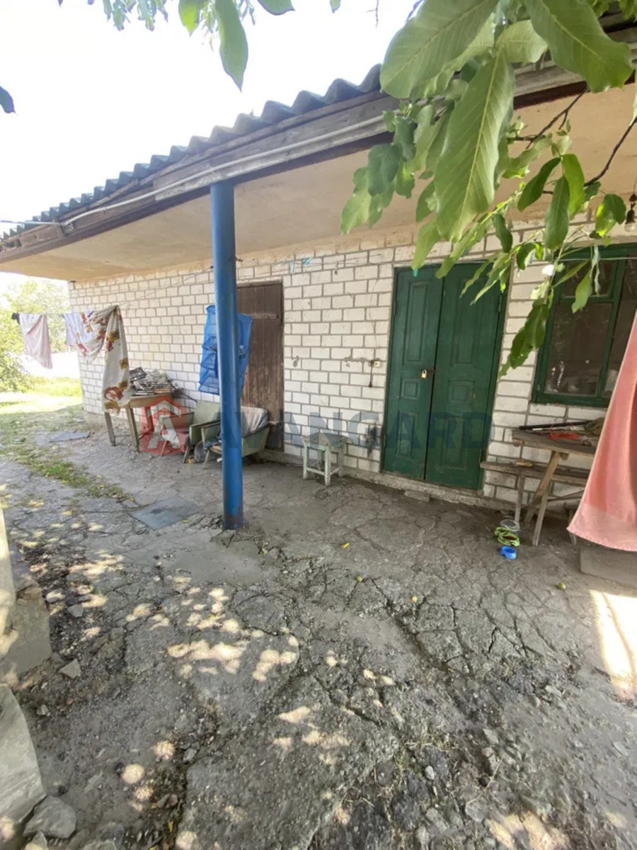 �������, 65 ��.�. ���� 8