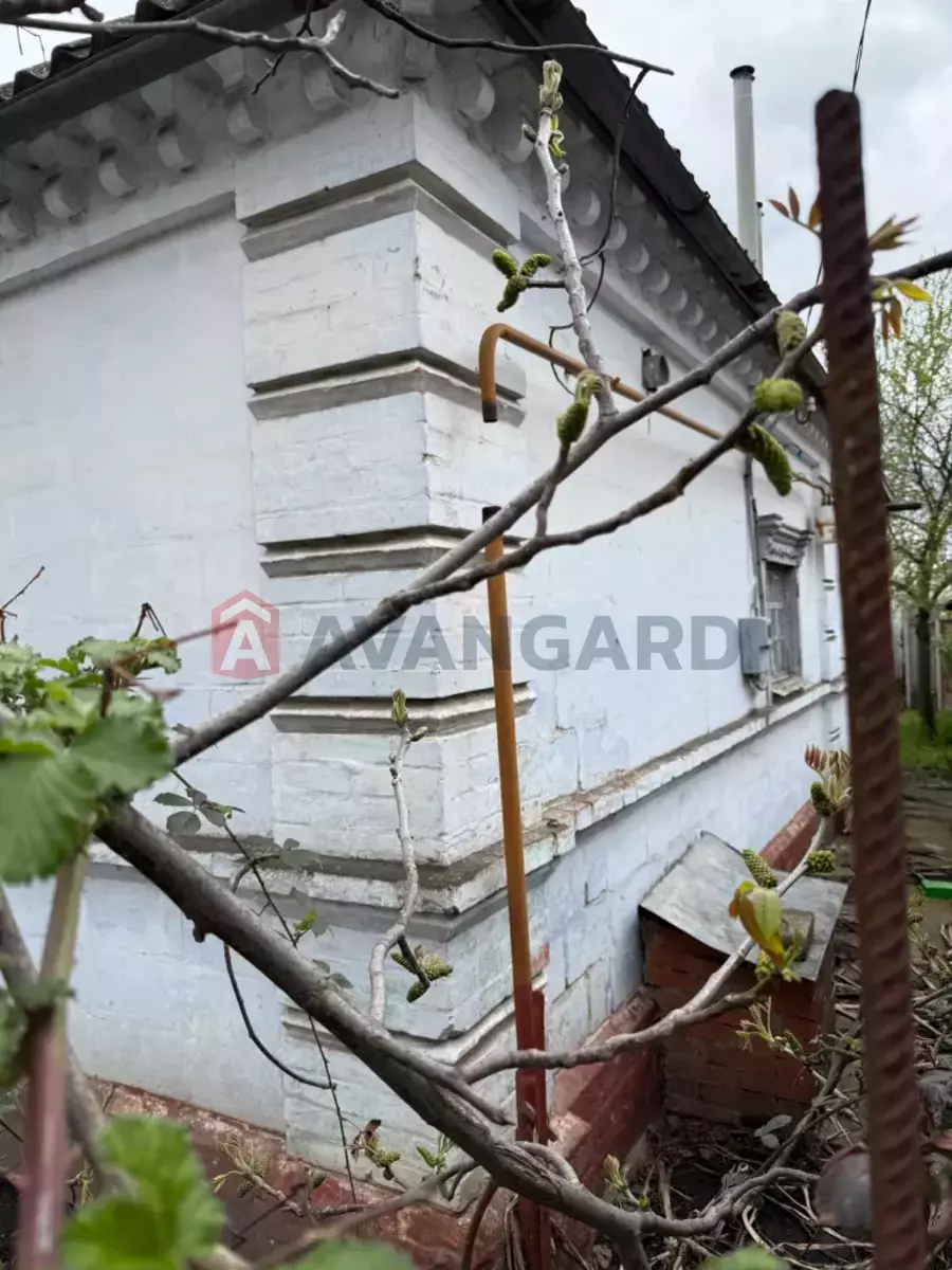 �������, 50 ��.�. ���� 29