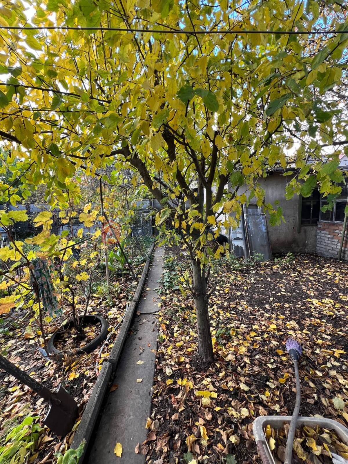 Дом, 74 кв.м. фото 15 Дом, 74 кв.м. фото 15