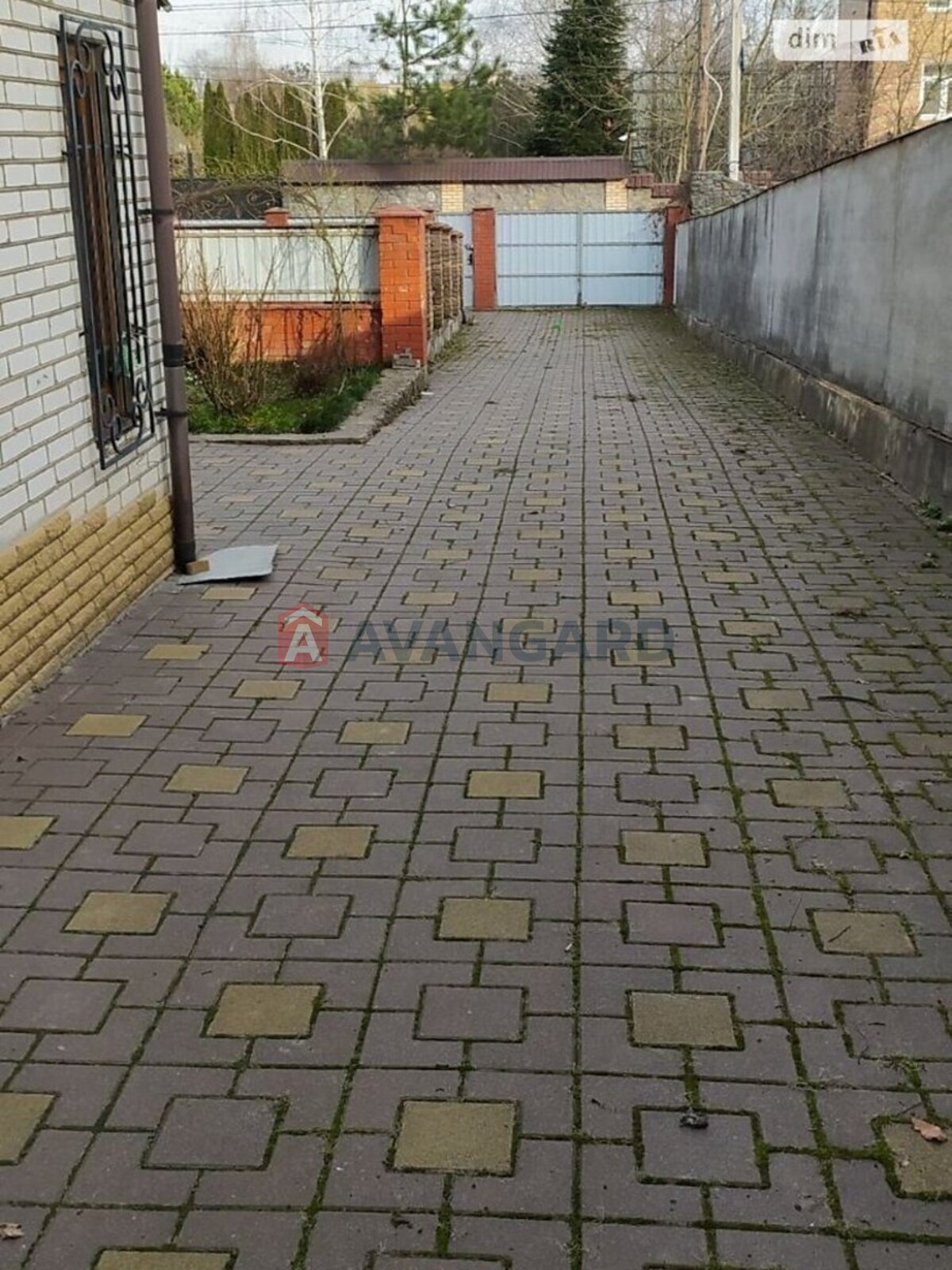 �������, 17 ��.�. ���� 5