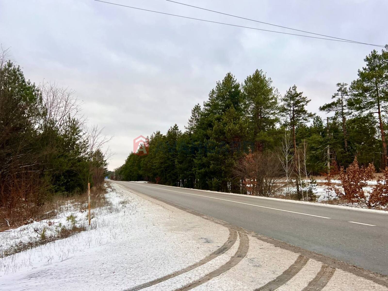 ����, 50 ��.�. ���� 19