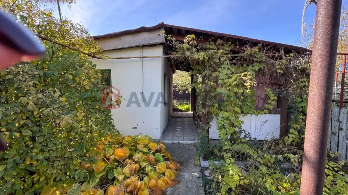 ������� �������, 40 ��.�. ���� 3