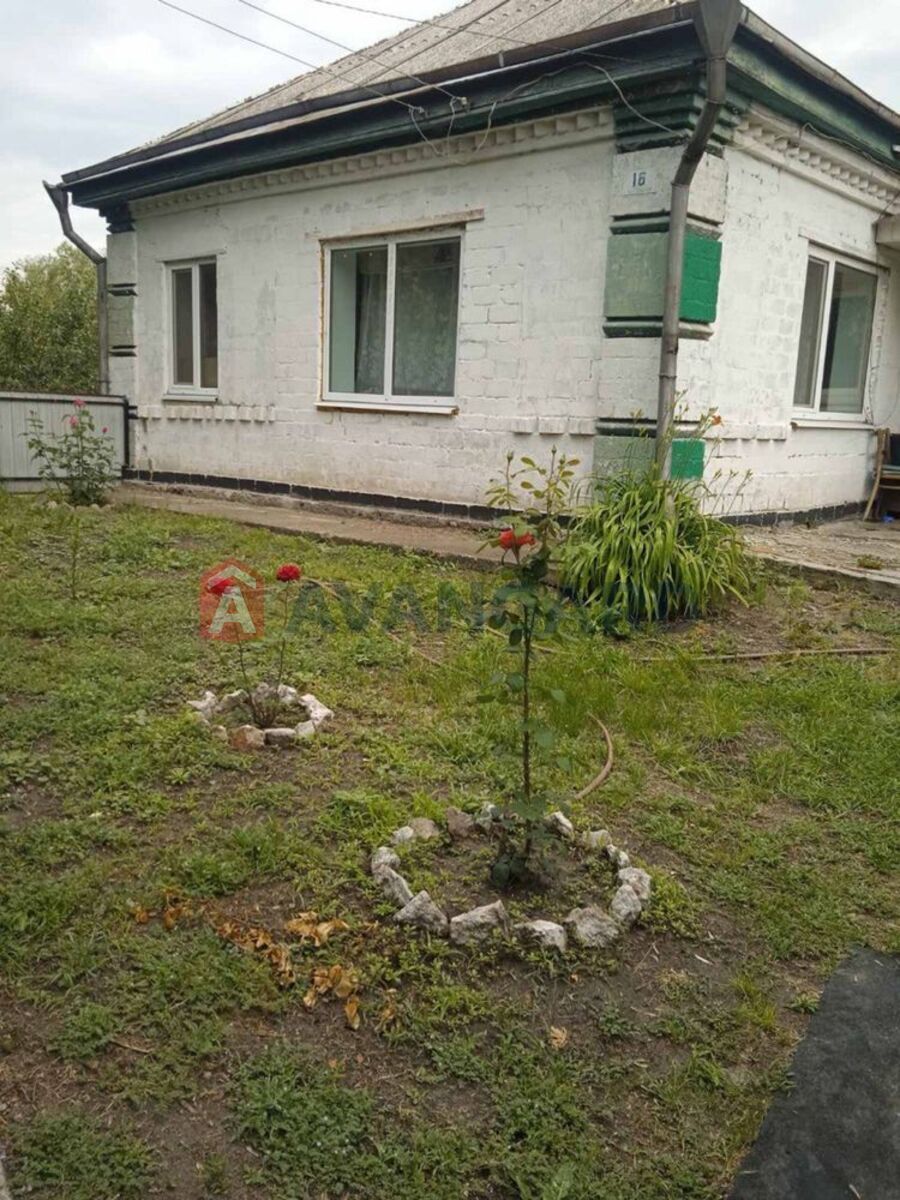 �������, 65 ��.�. ���� 5