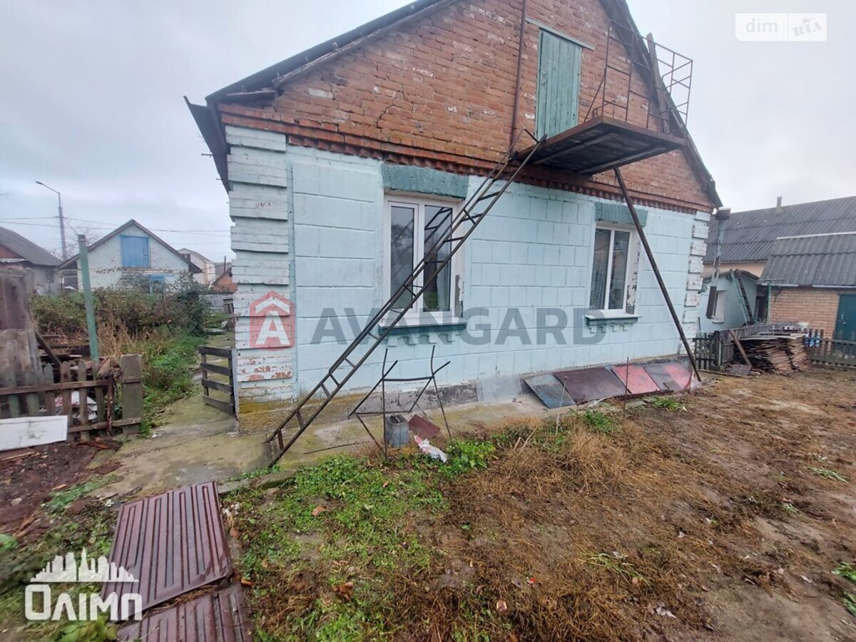 ����� ����, 36 ��.�. ���� 6