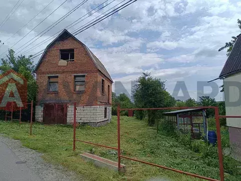 �������, 85 ��.�. ���� 5