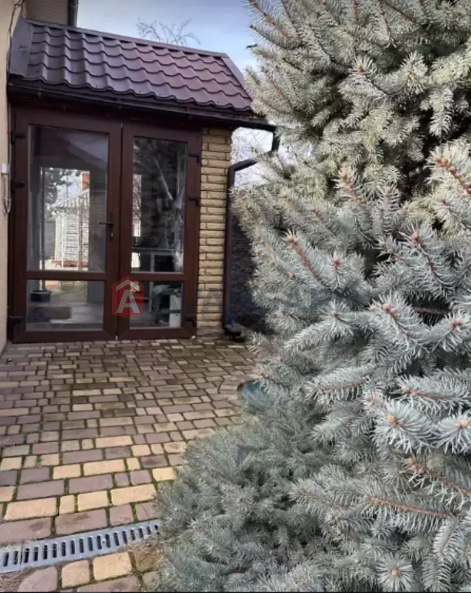 �������, 89 ��.�. ���� 3