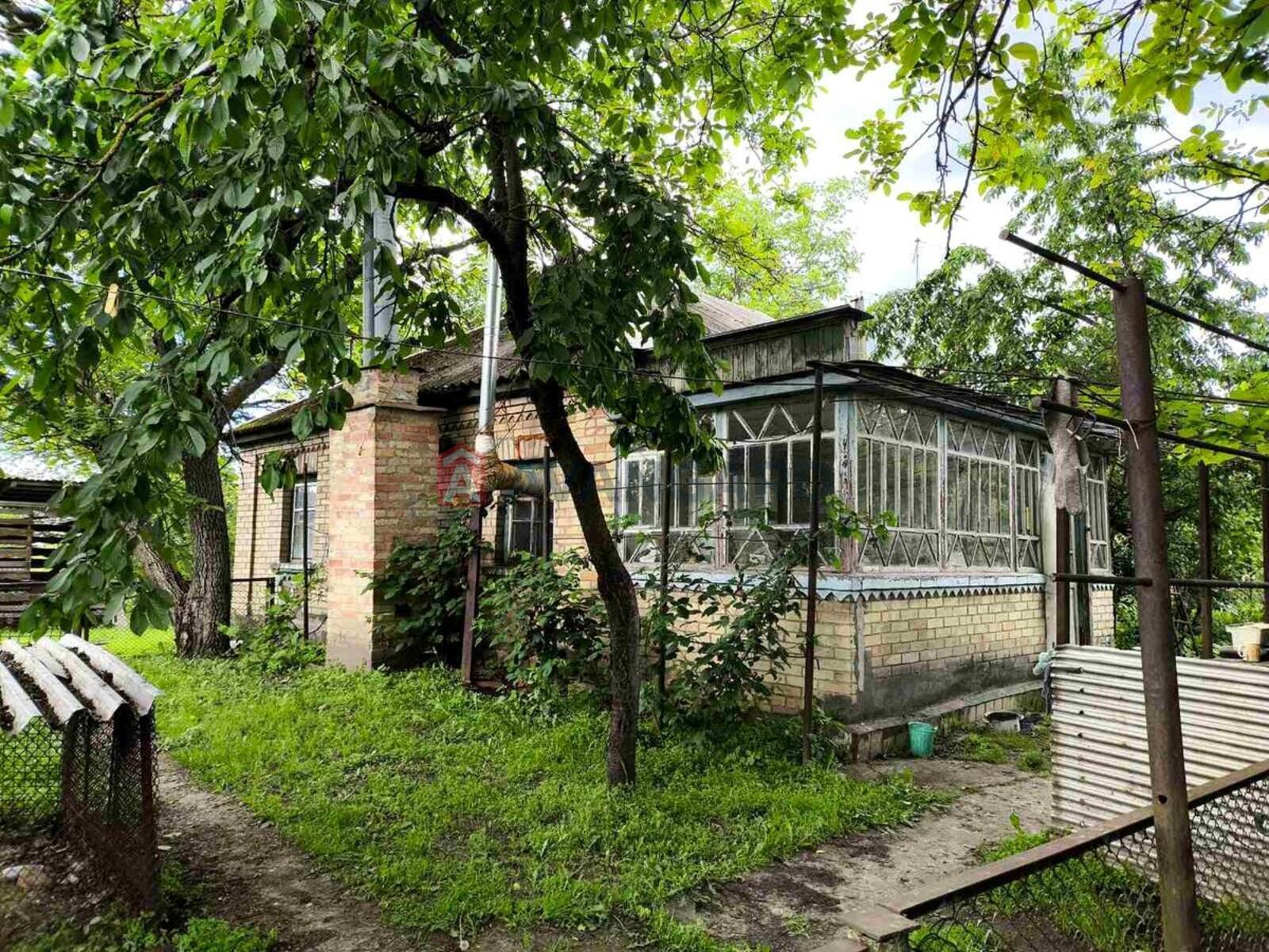 �������, 61 ��.�. ���� 3