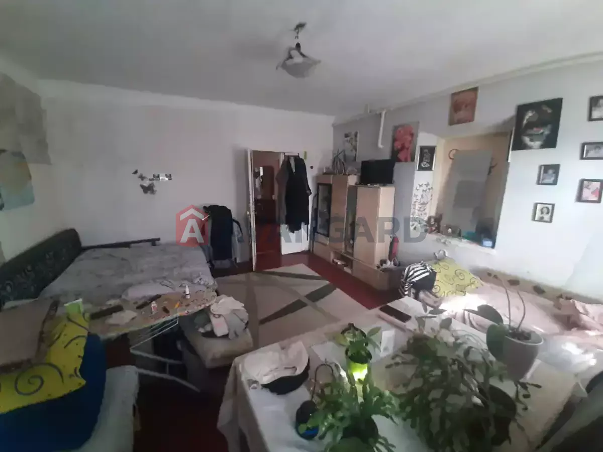 ���, 48 ��.�. ���� 13