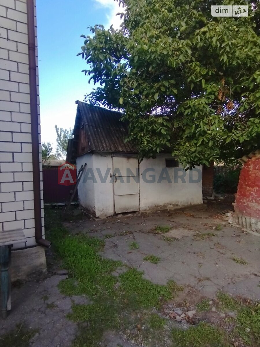 �������, 102 ��.�. ���� 17