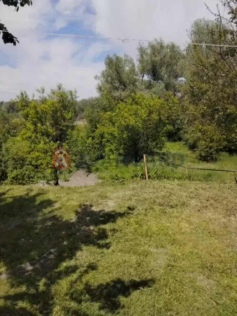 �������, 54 ��.�. ���� 24