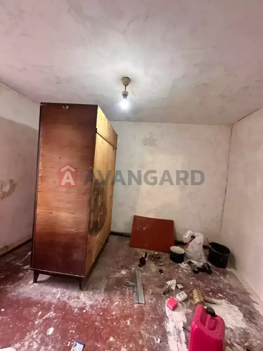 �������, 50 ��.�. ���� 19